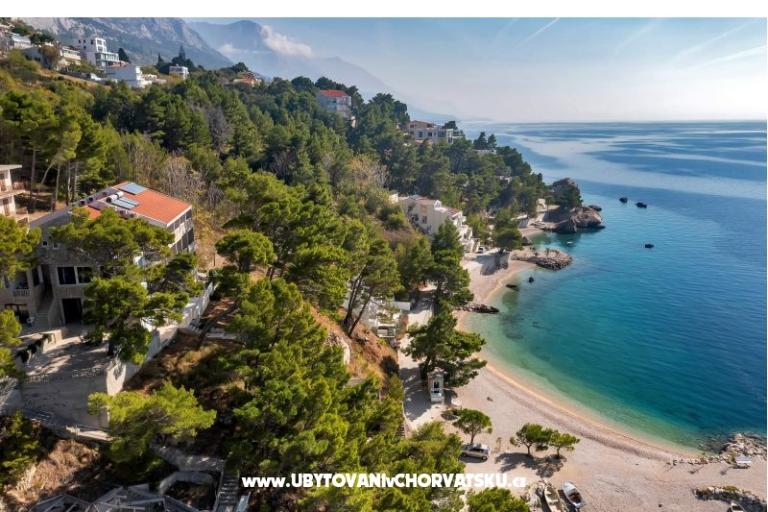 Pine Canopy Studios and Apartmány – foto 9