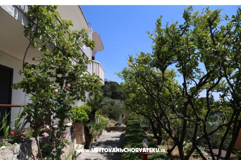 Apartmány Mare – foto 17