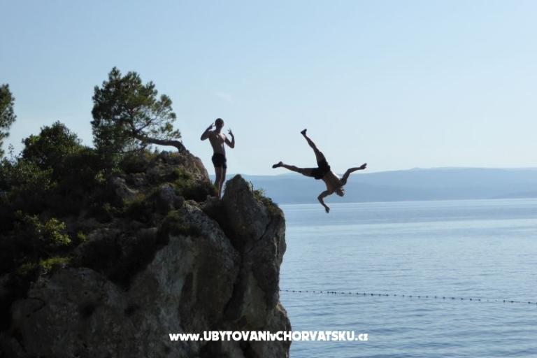 Villa Brelissima – foto 7