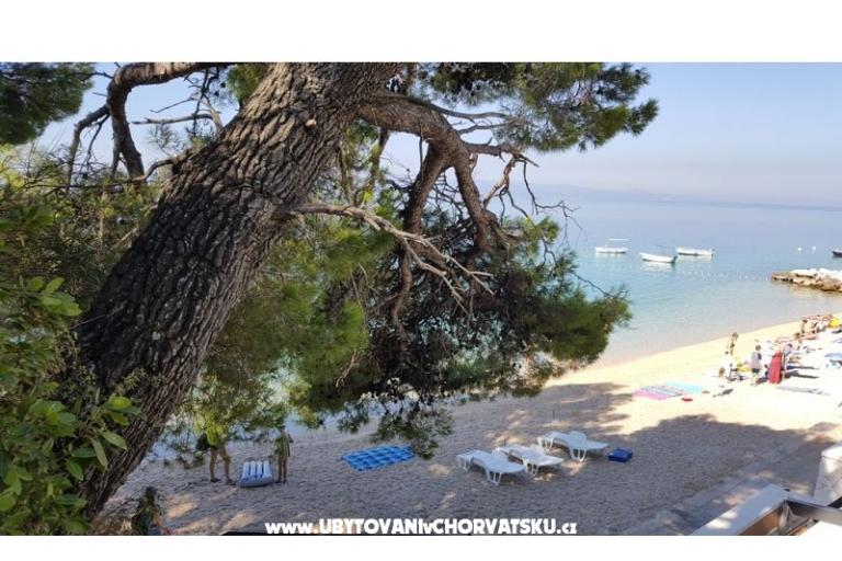 Dom Pokoje Izba Villa Sodan – foto 11