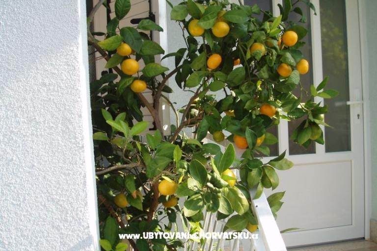 Apartmány Orbanić – foto 14