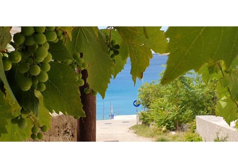 Ubytovanie Julia – foto 9