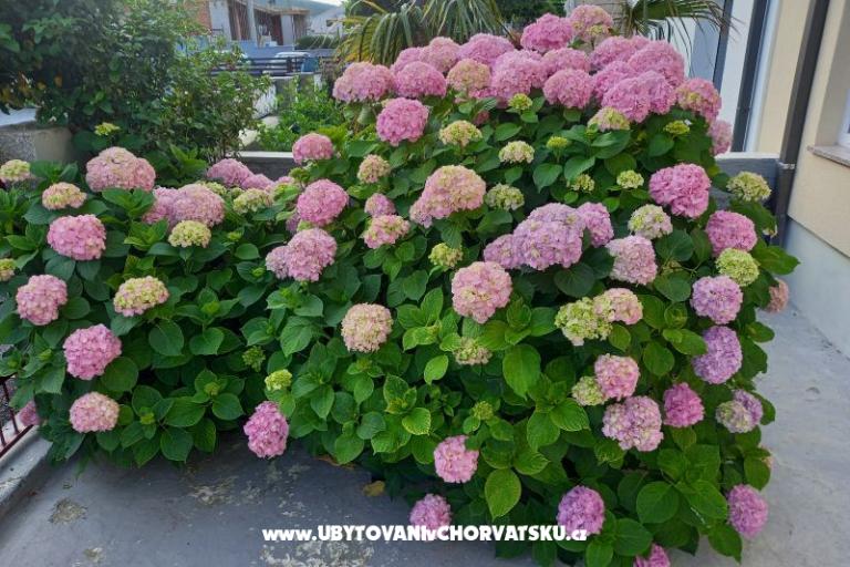 Apartmány Rosi – foto 3