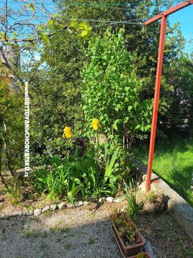 Apartmány Rosi – foto 6