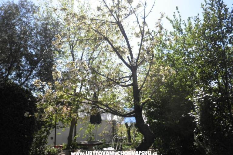 Apartmány Rosi – foto 9