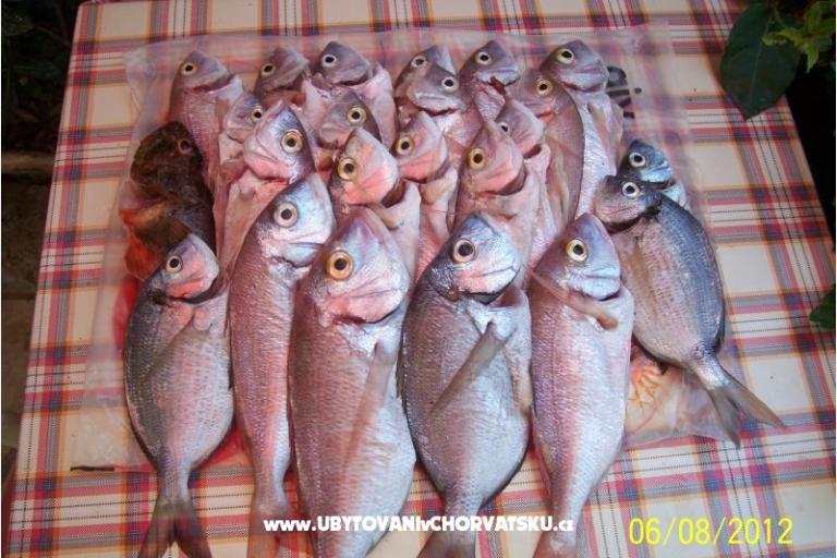 Apartmány Seka – foto 3