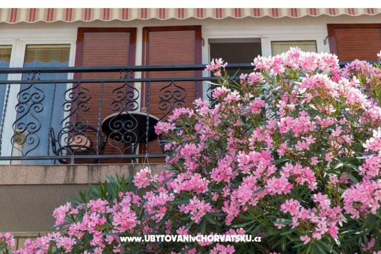Apartmány Tea – foto 5