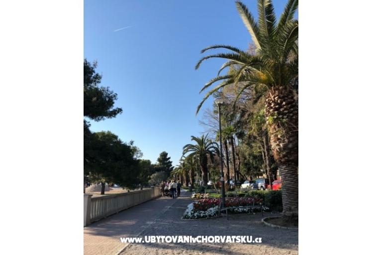 Apartmány Sun and Sea – foto 10