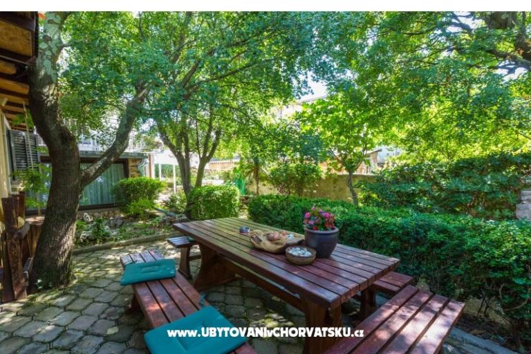 Luka Sočković – foto 7