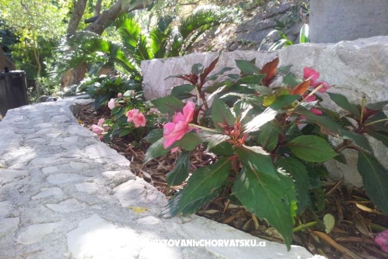 Aparmani Marin  – foto 7