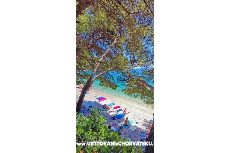 Apartmány Kostela – foto 27