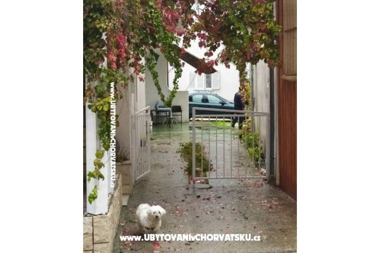 Apartmány Plavi Jadran – foto 9