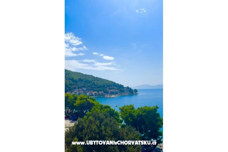 Villa  Delic – foto 24
