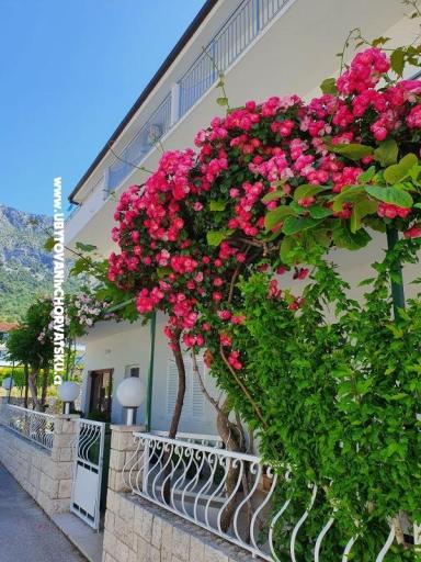 Apartmány Villa Ivan Drvenik – foto 2