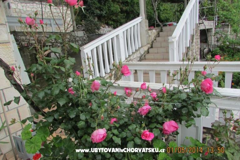 Apartmány  Anka – foto 17