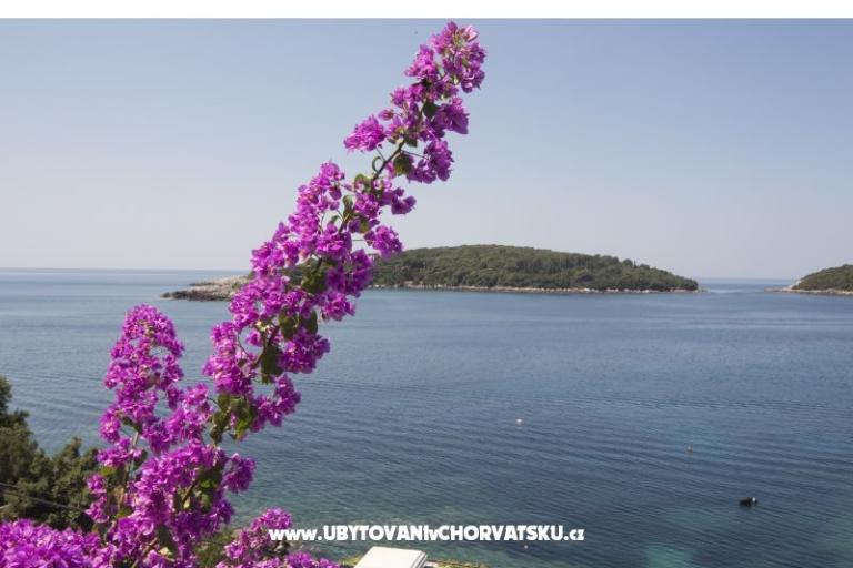 Apartmány Rašica – foto 5