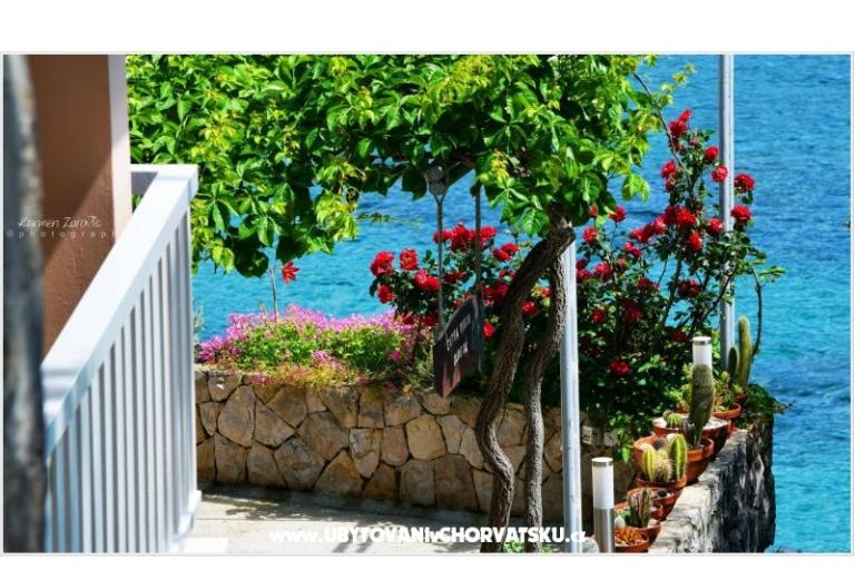 Villa Ana Apartmány – foto 3
