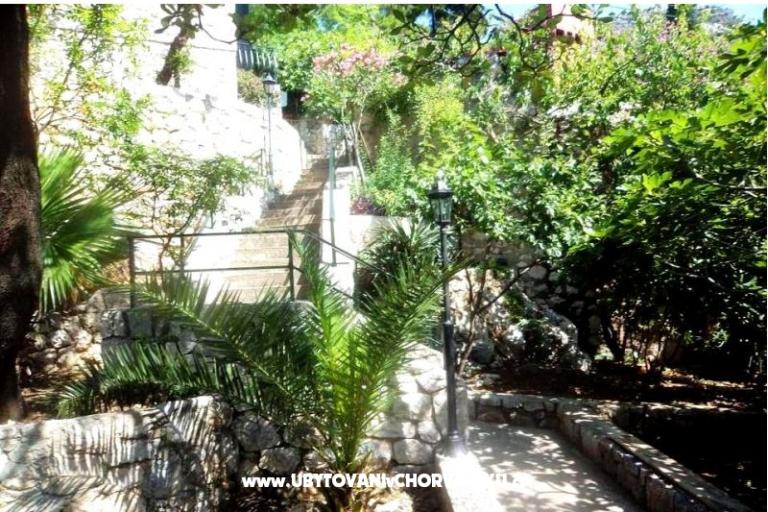 Dom directly on the sea – foto 11