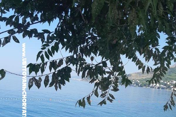 Apartmány Mary – foto 28