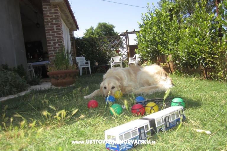 Apartmán Flora – foto 14