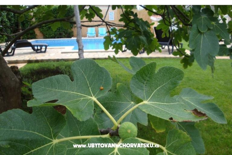 Apartmány Dorijo – foto 8