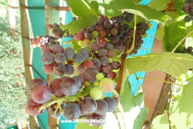 Apartmány Josipović – foto 6