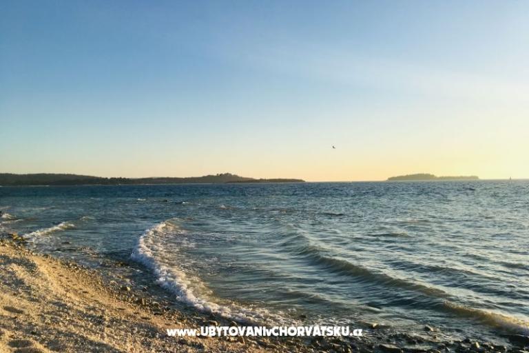 Dante – foto 14