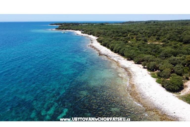 Villa Hedonistra – foto 18