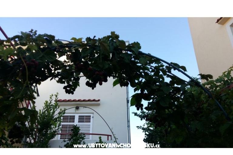 Apartmány Matej – foto 14