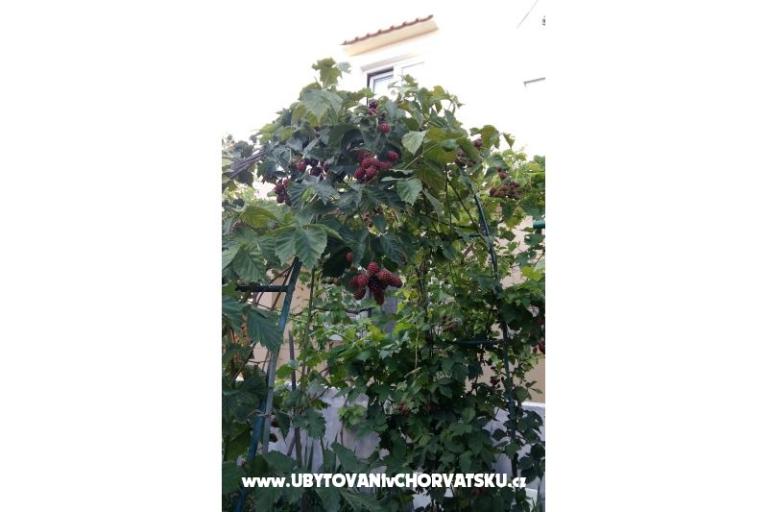 Apartmány Matej – foto 5