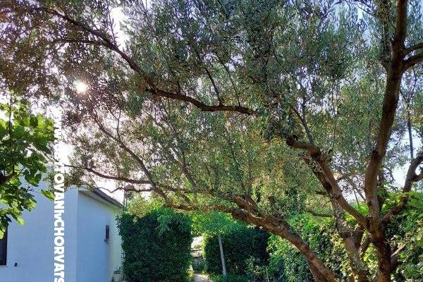 Prázdninový dom - Apartmán Milka – foto 13