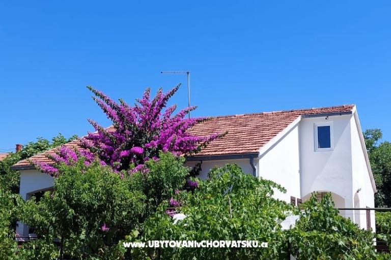 Prázdninový dom - Apartmán Milka – foto 2