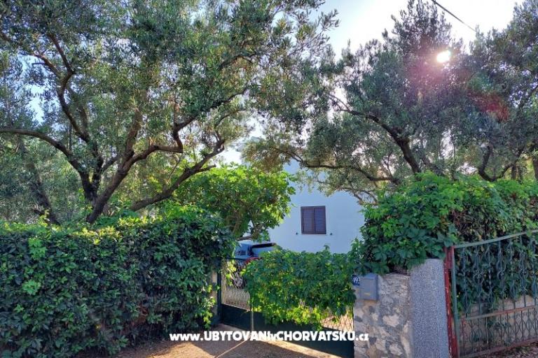 Prázdninový dom - Apartmán Milka – foto 4