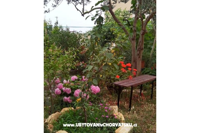 Apartmány Andjelka &amp; Jure – foto 8