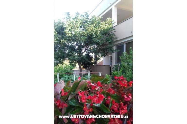 Apartmán   " ARZENŠEK " – foto 12