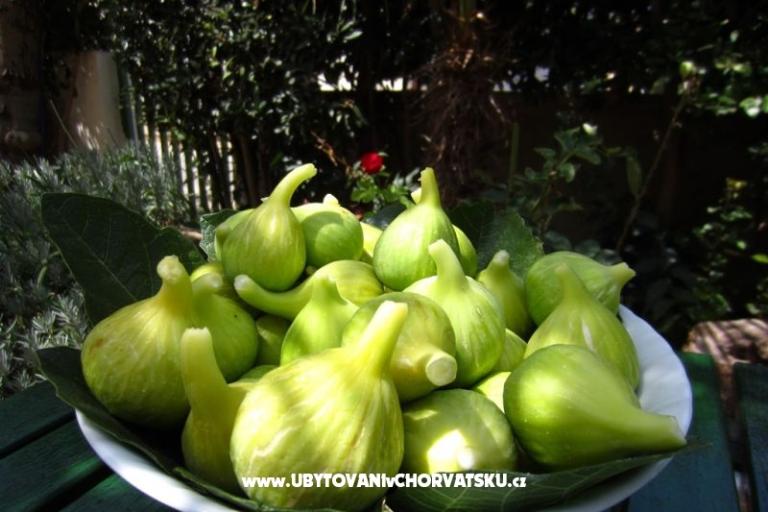 Apartmány FJAKA – foto 15