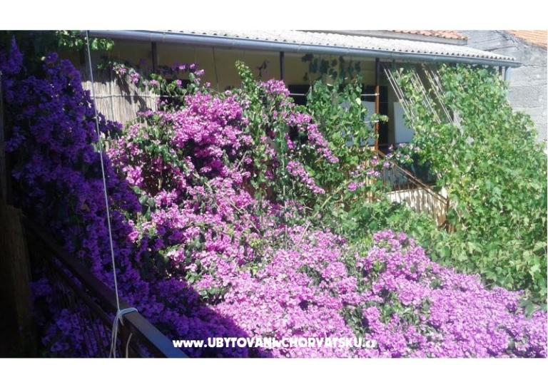 Apartmány Liđa – foto 4