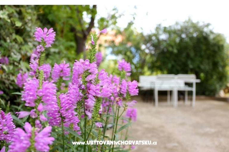 Apartmány M – foto 8