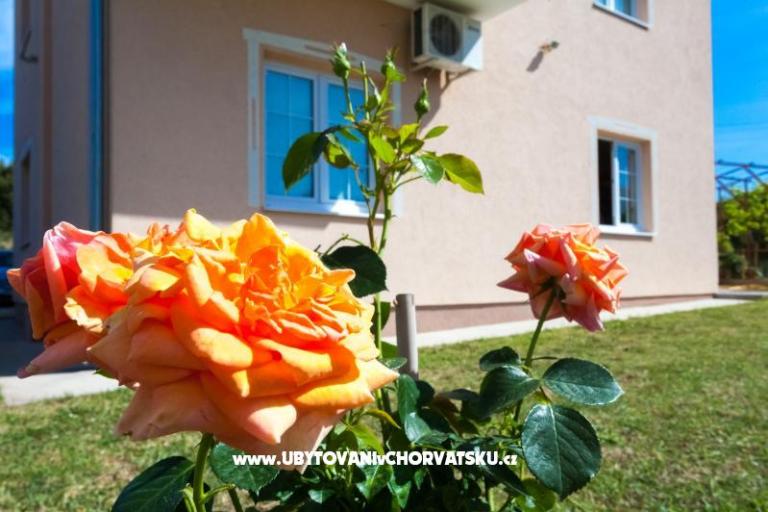 Apartmány Sea view – foto 2