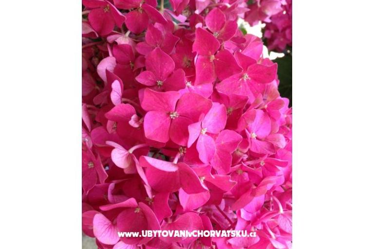 Apartmány Misulic Turanj – foto 19