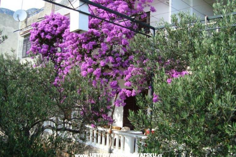 Apartmán Gradac Falak – foto 13