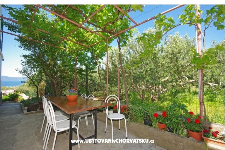 Apartmány i sobe Maslina – foto 16