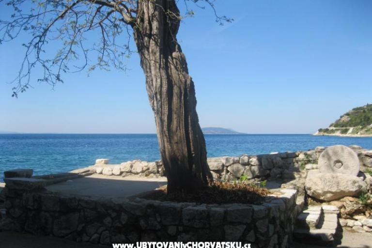 Apartmán Ines – foto 9