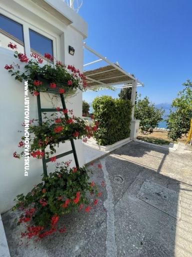 Apartmány Mimoza – foto 14