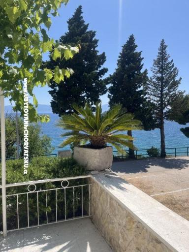 Apartmány NIKOLA – foto 3