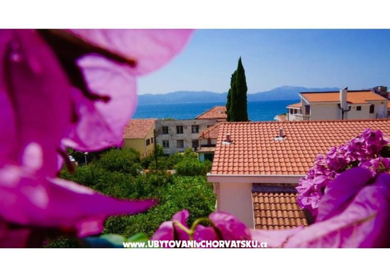 Apartmány Jerković Gradac – foto 8