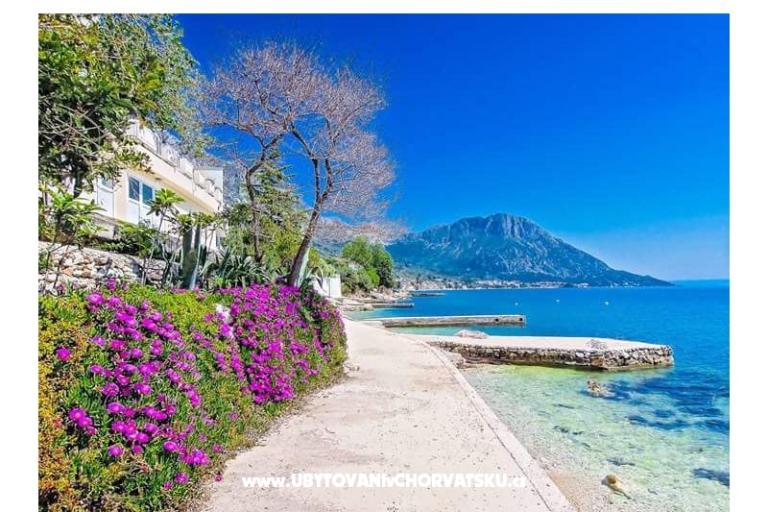 Apartmány Pećar – foto 12