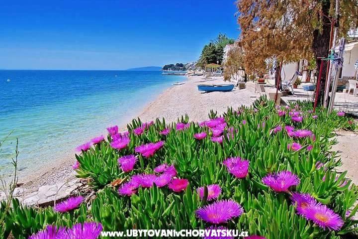 Apartmány Pećar – foto 6