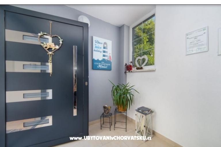 Color Apartmány Miošić – foto 8