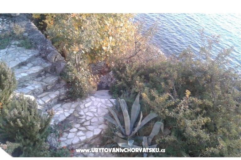 Dijana Beach Dom – foto 7